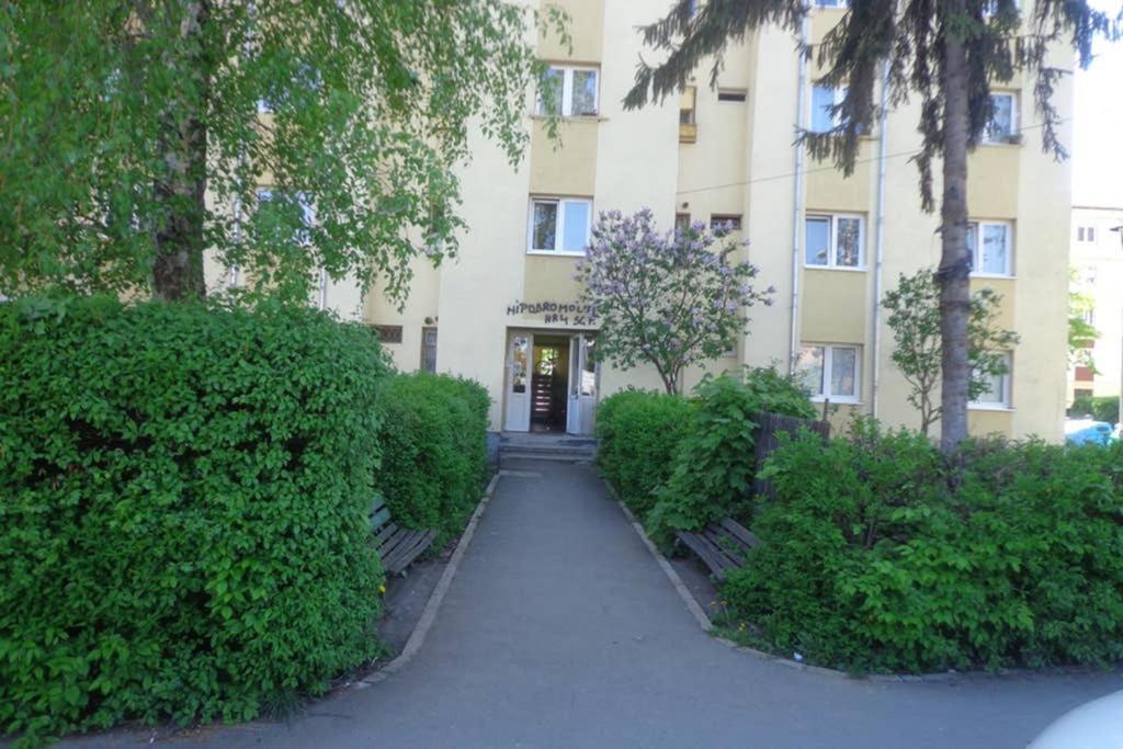 Aldine Comfort : Entire Apartment With 2 Bedrooms Sibiu Dış mekan fotoğraf